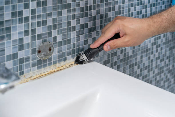 Best Mold Testing and Inspection Services in Landis, NC